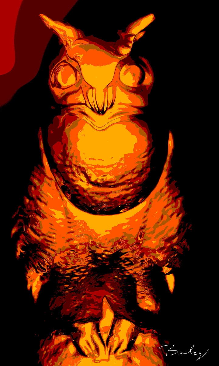 Animalium Owl NO1 - Hight Resolution - Open Edition Print - Contemporary Art - By Beelzy