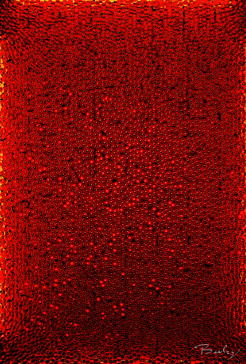ikura No1 Hight Resolution - Open Edition Print - Contemporary Art - By Beelzy