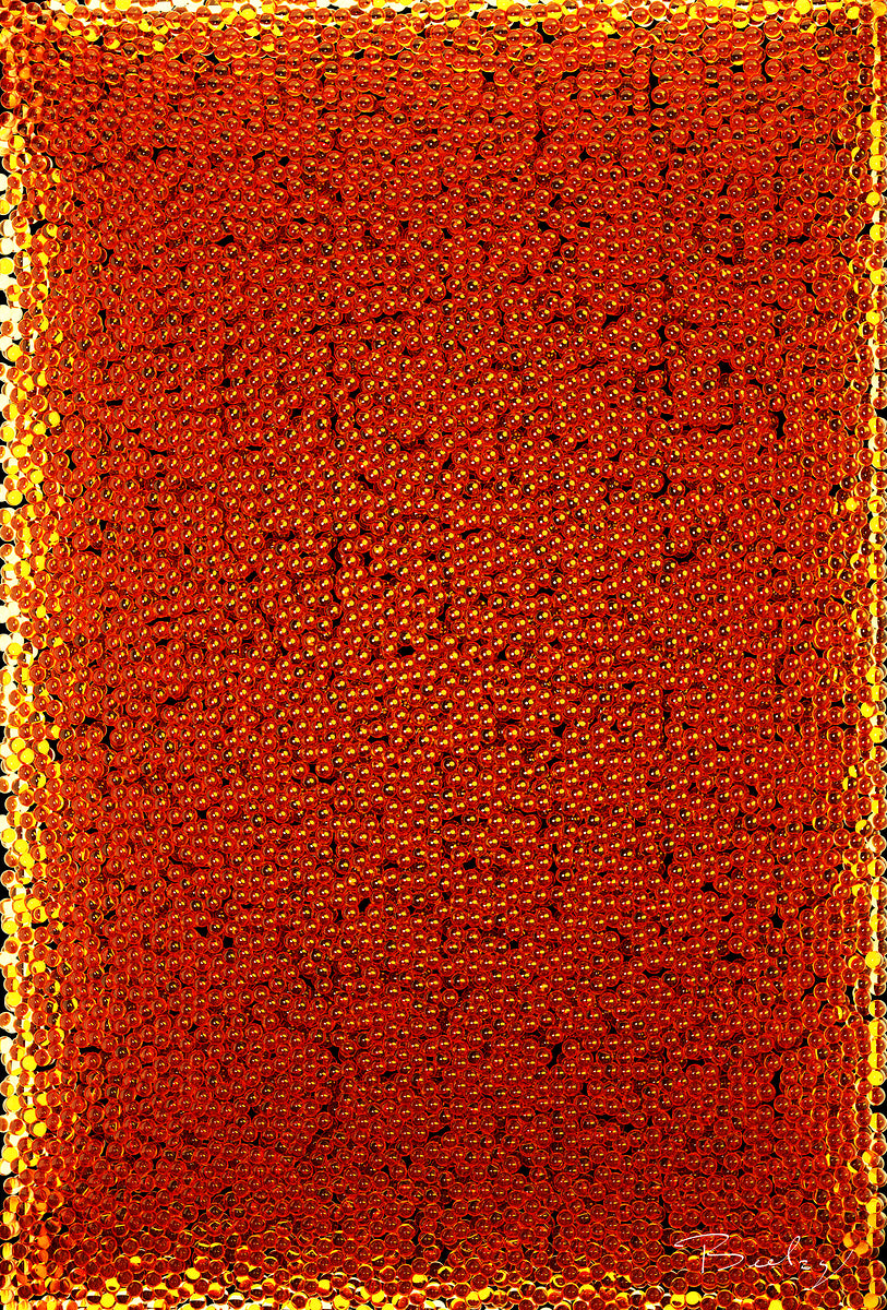 Ikura No2 Hight Resolution - Open Edition Print - Contemporary Art - By Beelzy