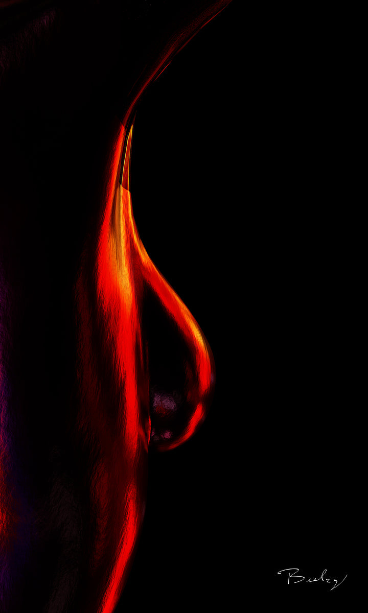 Bella No2 - Hight Resolution - Open Edition Print - Contemporary Art - By Beelzy
