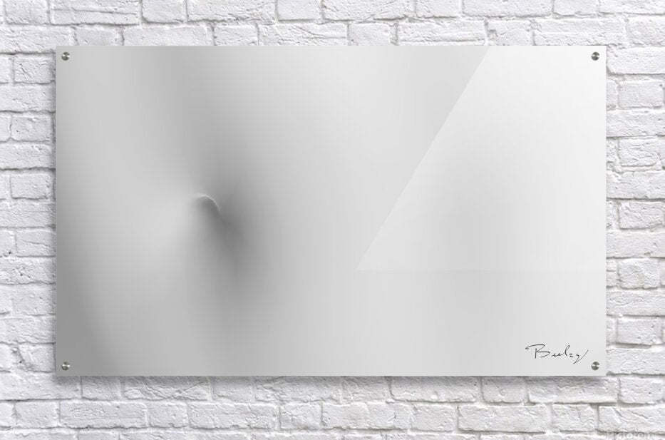 Acrylic Print