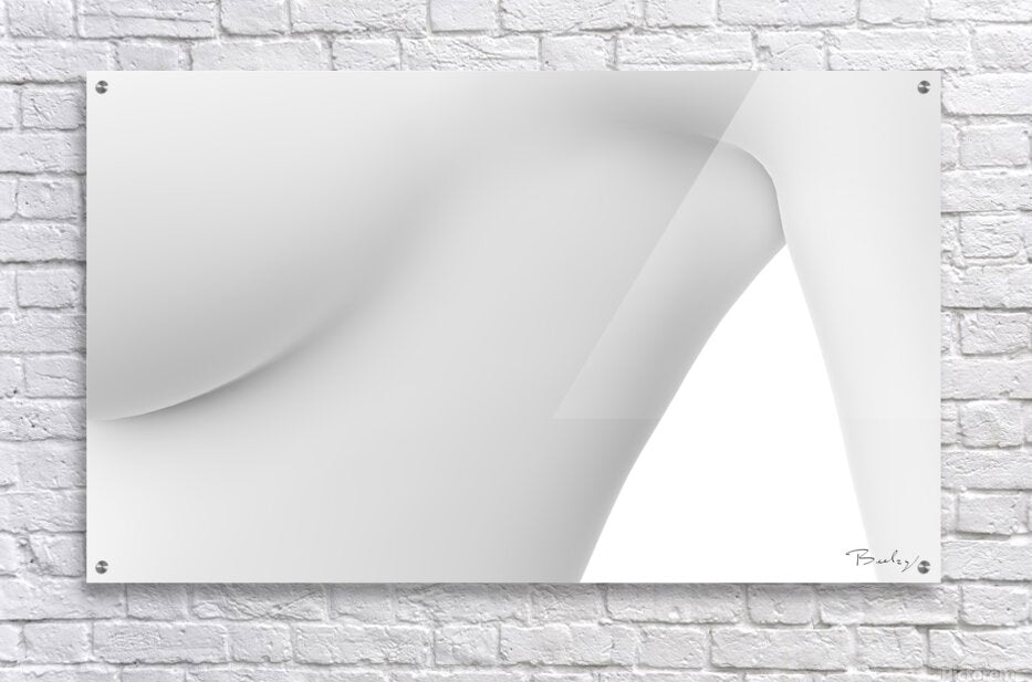 Acrylic Print