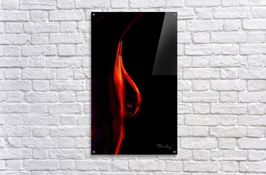 Acrylic Print