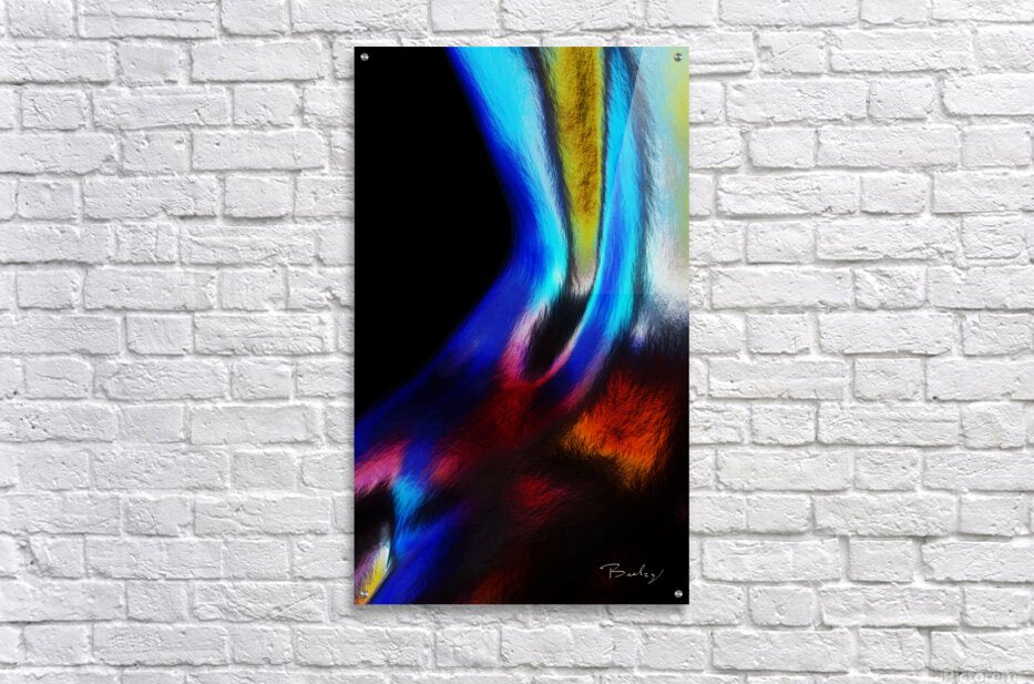 Acrylic Print