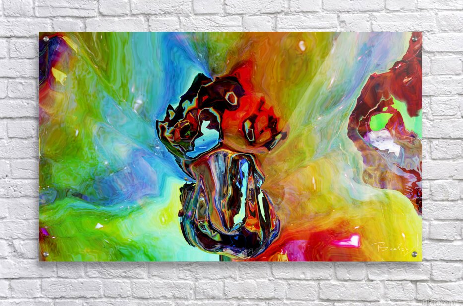 Acrylic Print
