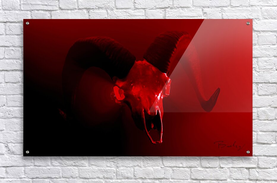 Acrylic Print