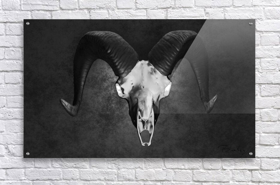 Acrylic Print