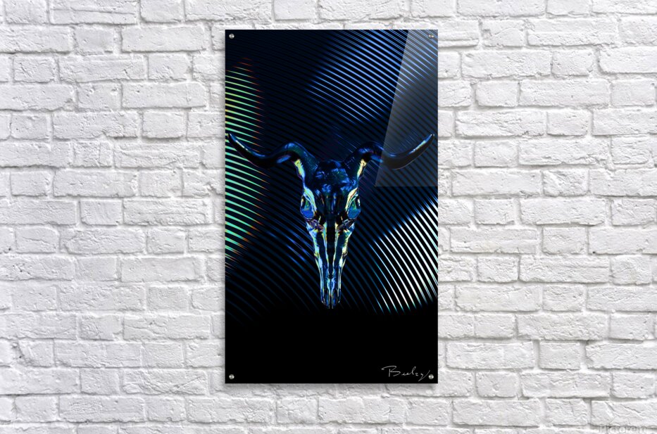 Acrylic Print