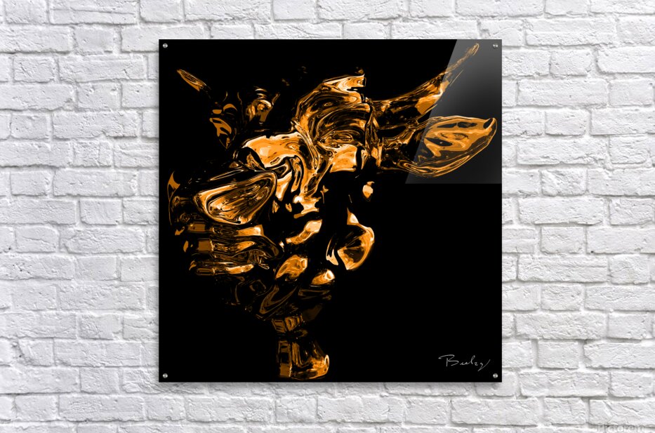 Acrylic Print