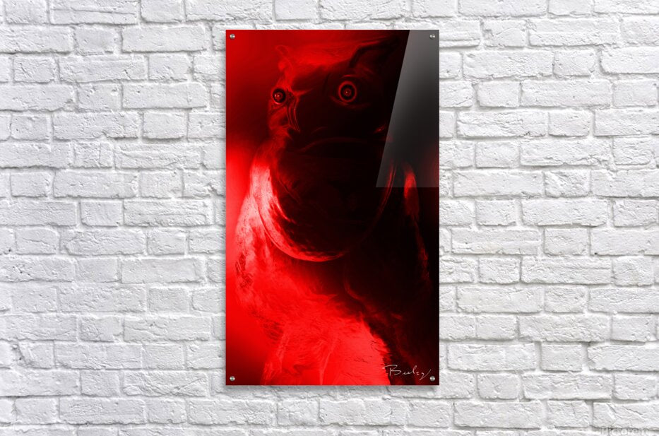 Acrylic Print