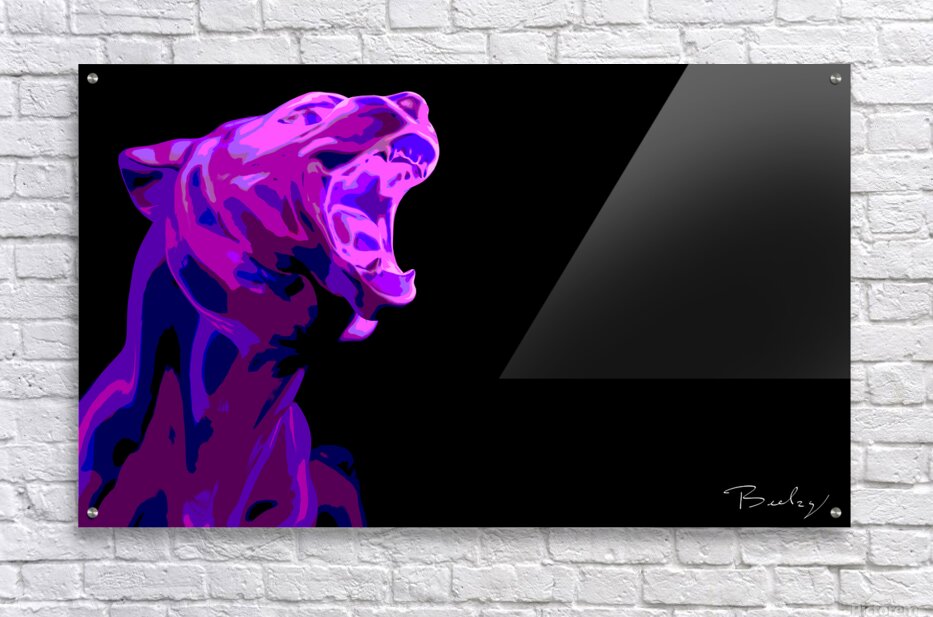 Acrylic Print