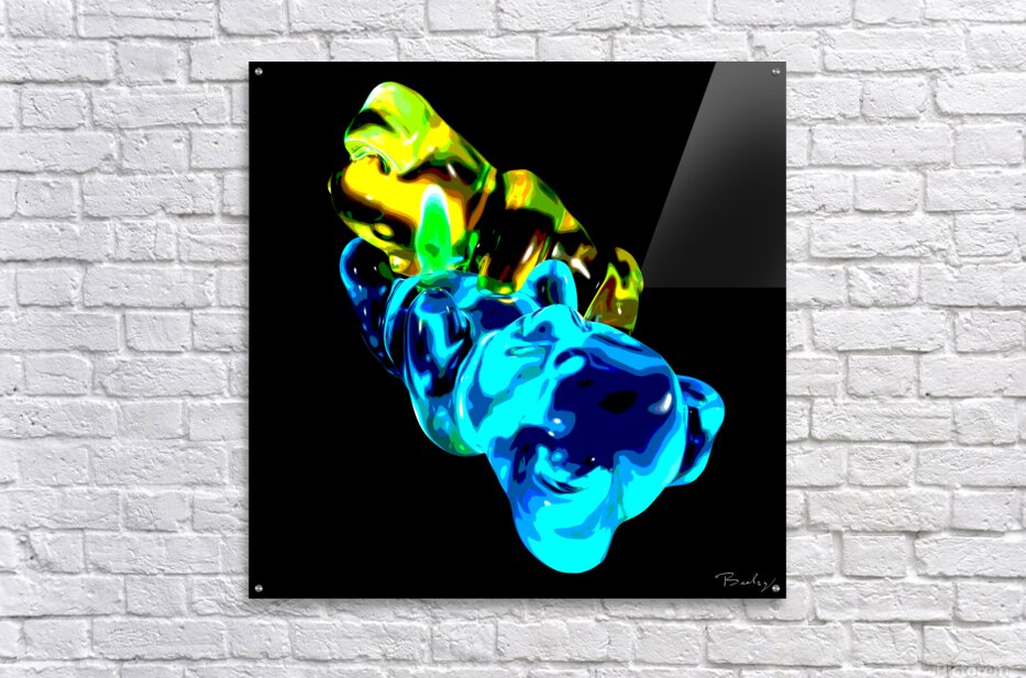 Acrylic Print