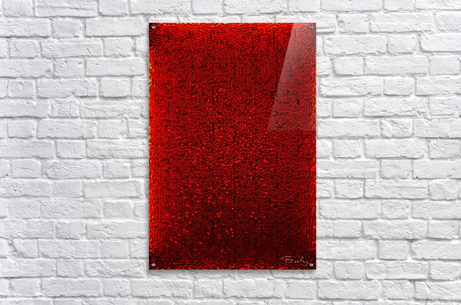 Acrylic Print