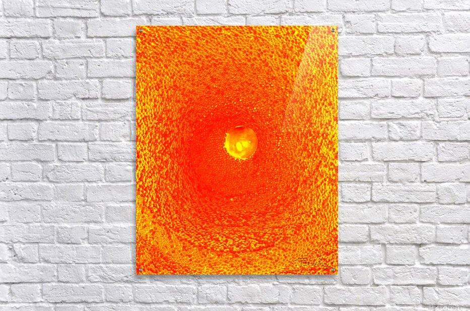 Acrylic Print
