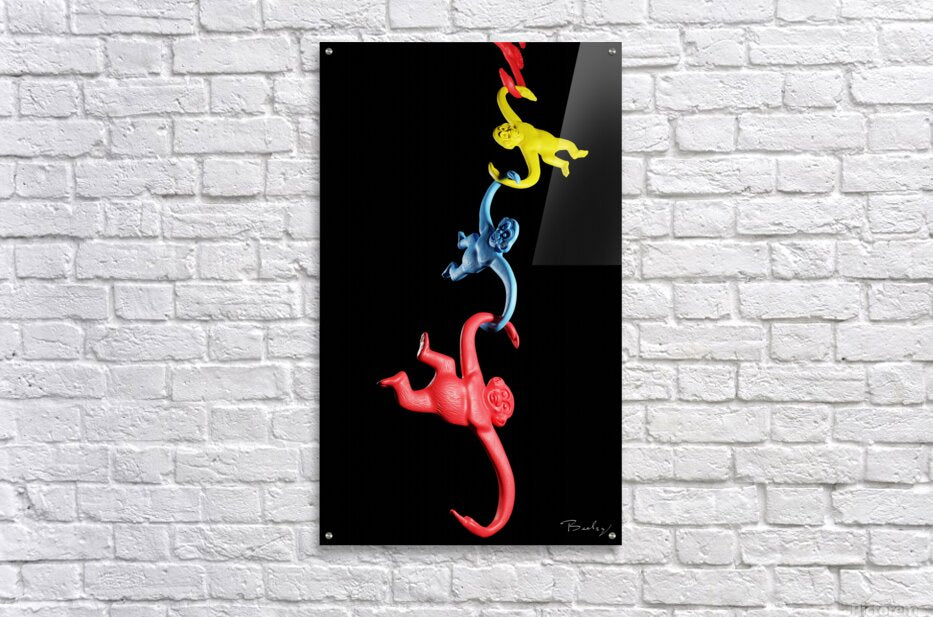 Acrylic Print