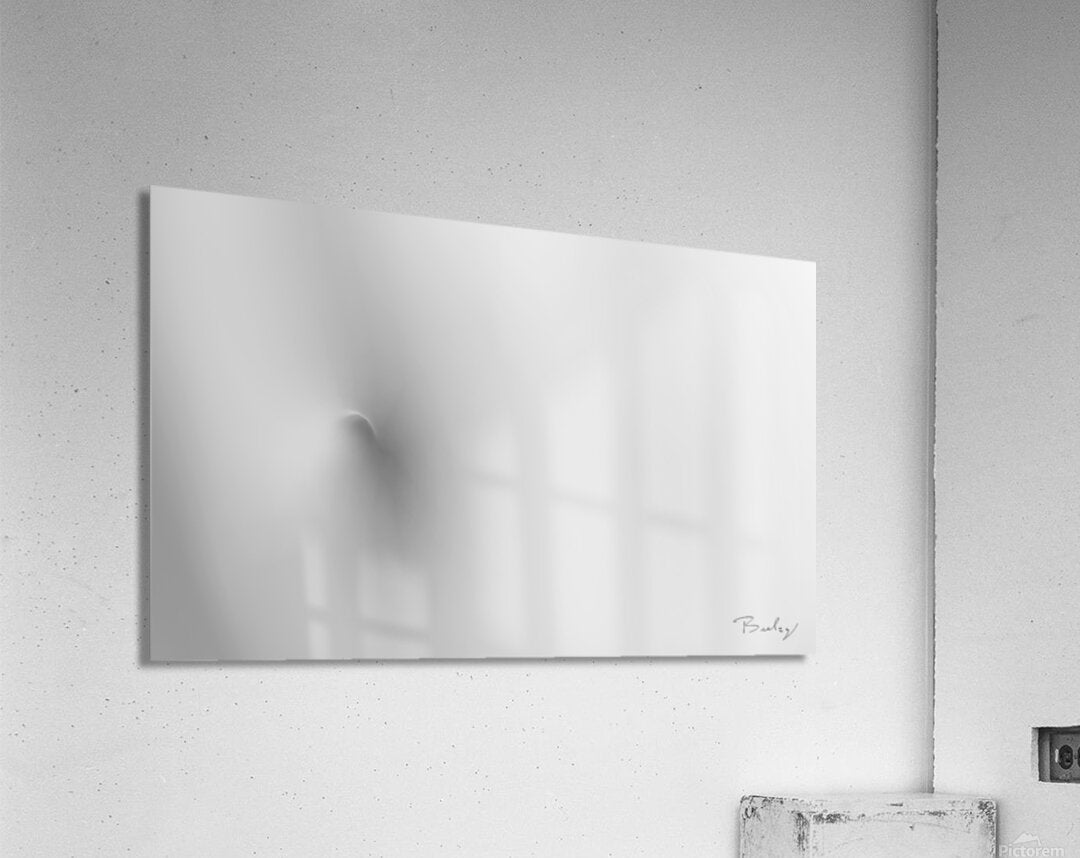 Acrylic Print
