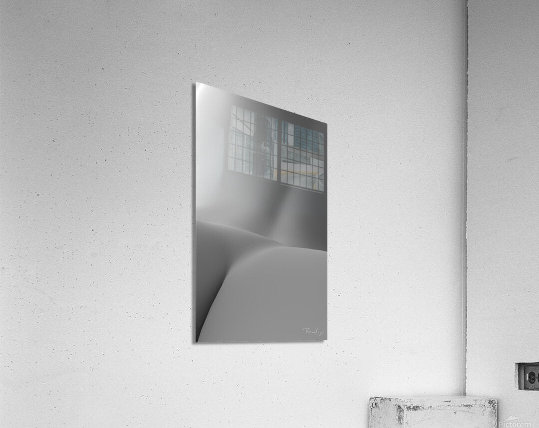 Acrylic Print