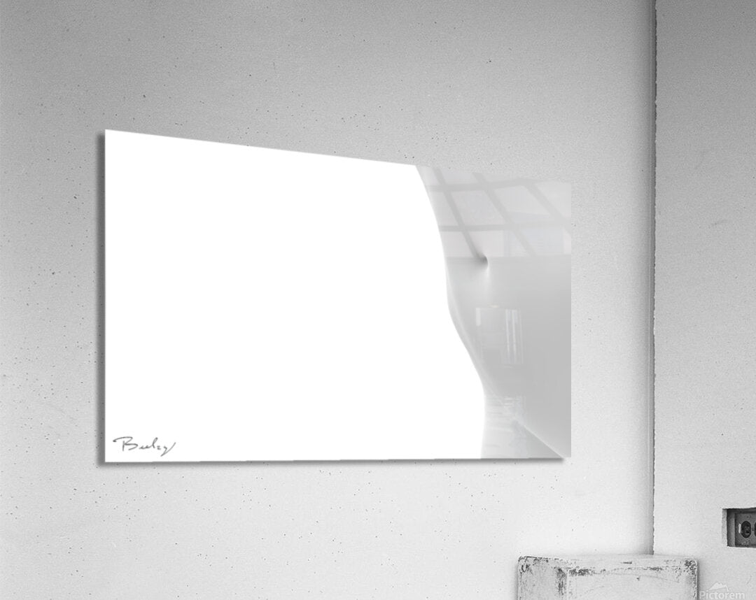 Acrylic Print