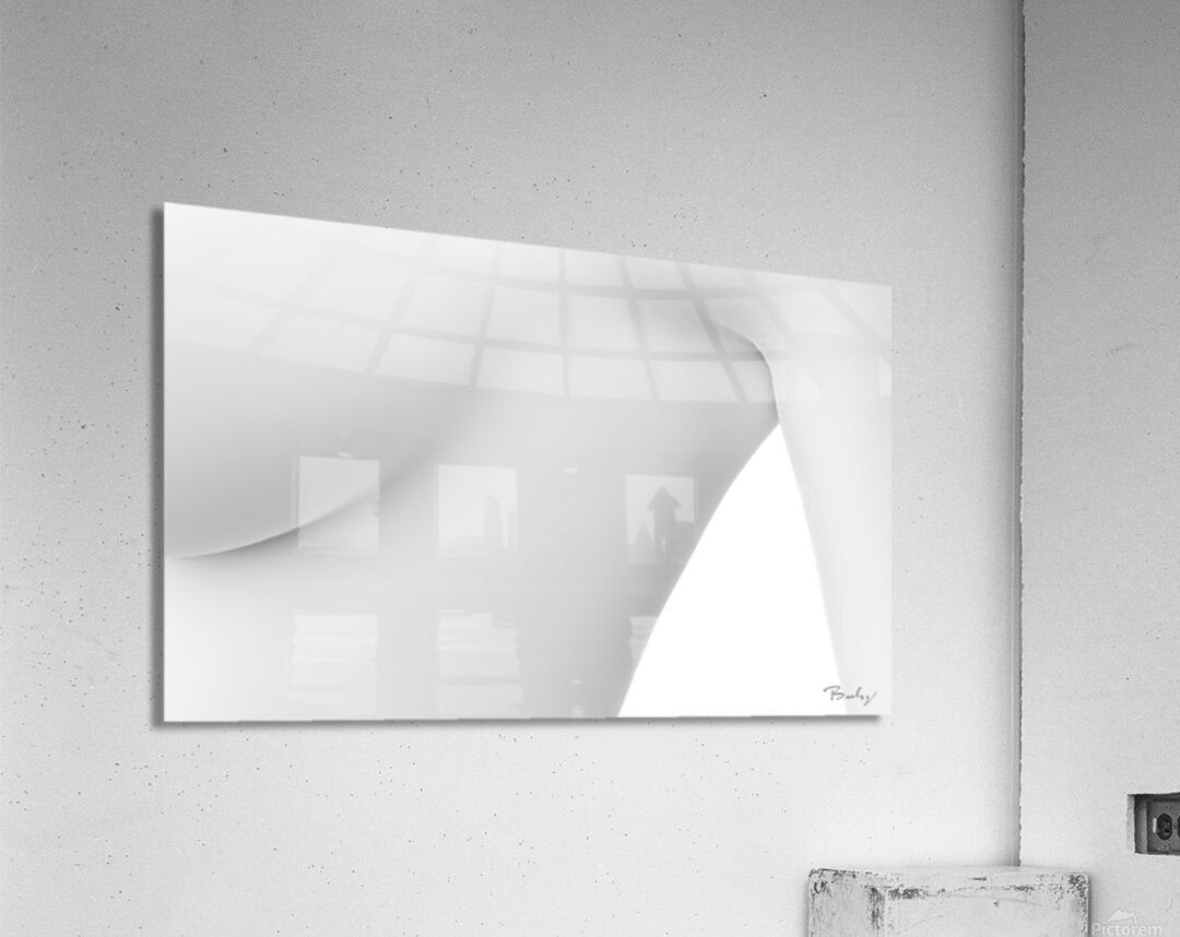 Acrylic Print