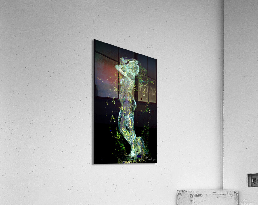 Acrylic Print