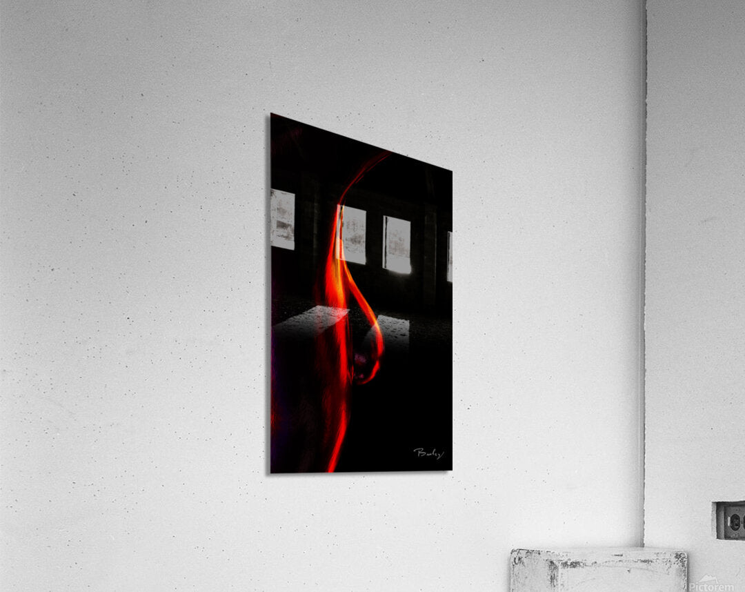 Acrylic Print