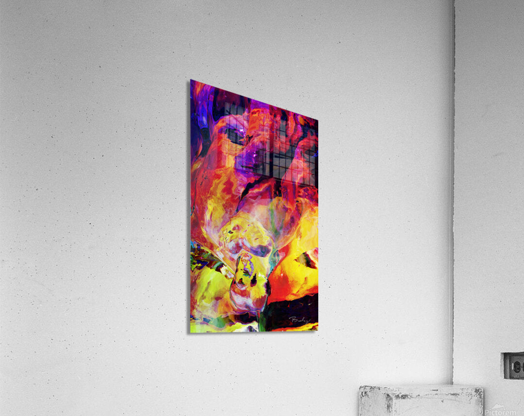 Acrylic Print