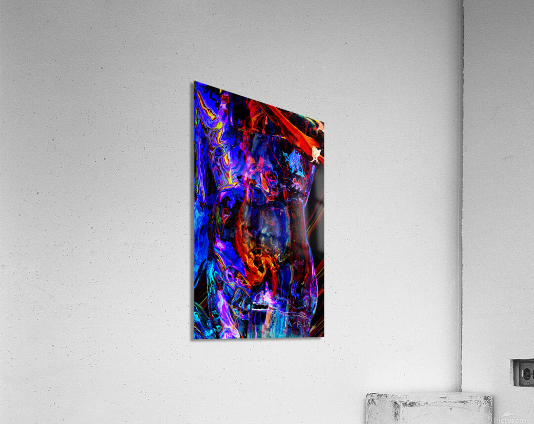 Acrylic Print