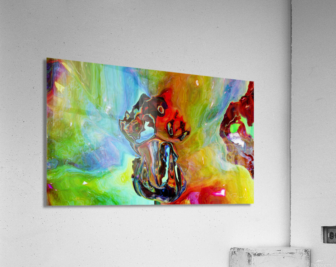 Acrylic Print