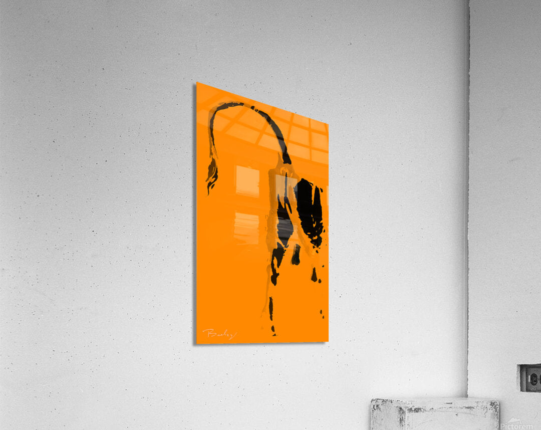 Acrylic Print