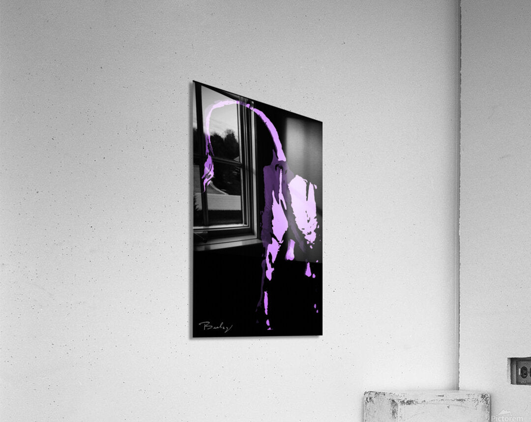 Acrylic Print