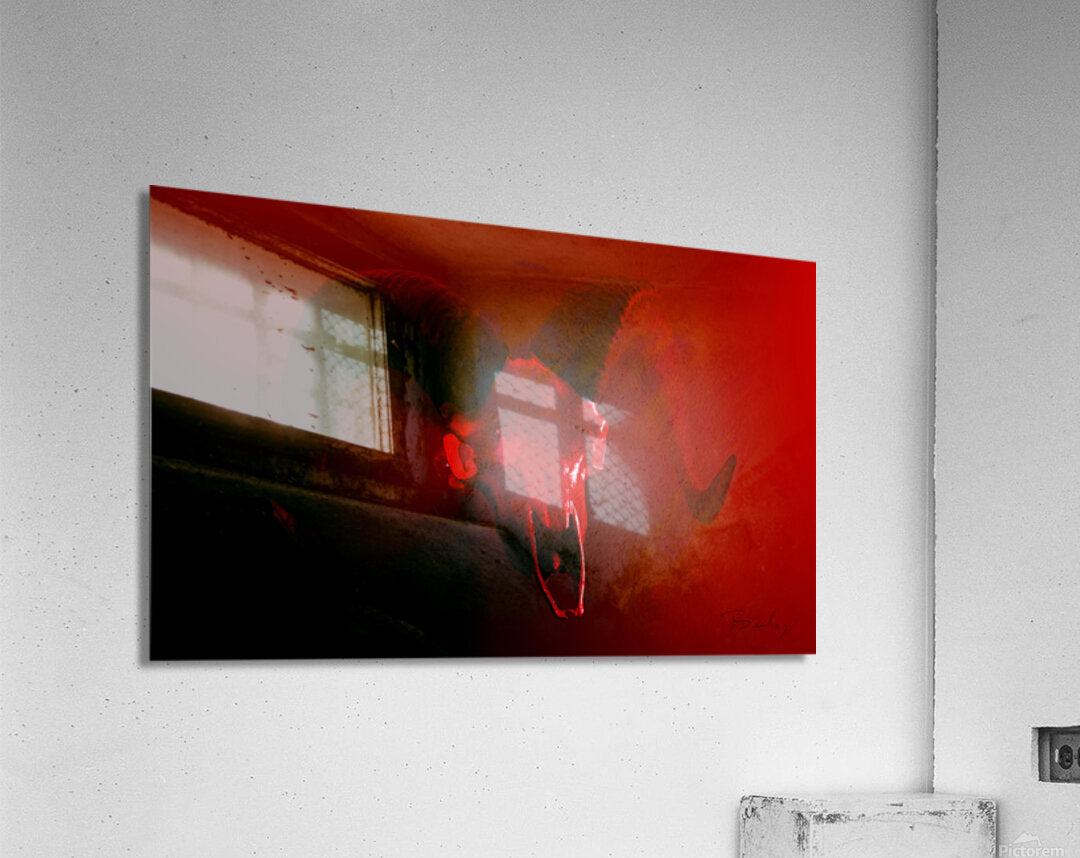 Acrylic Print