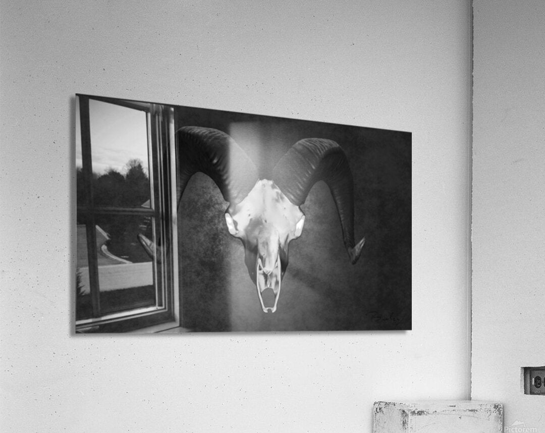 Acrylic Print