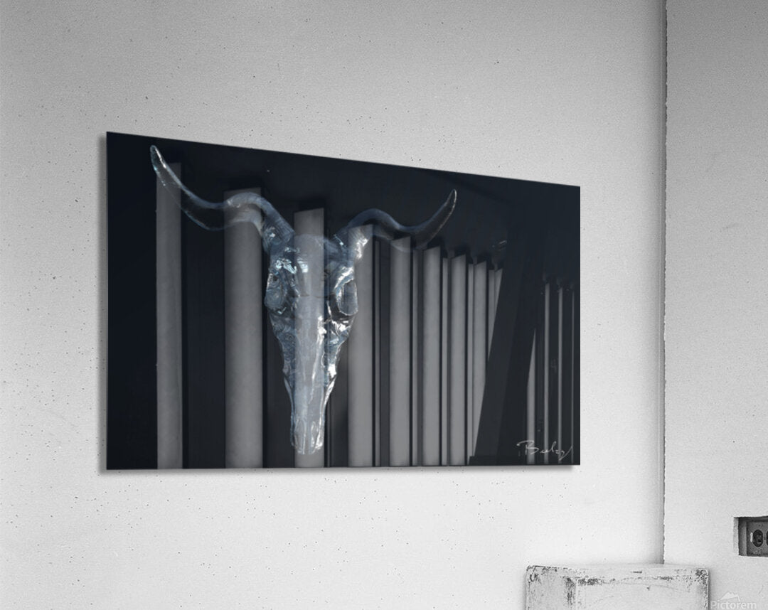 Acrylic Print