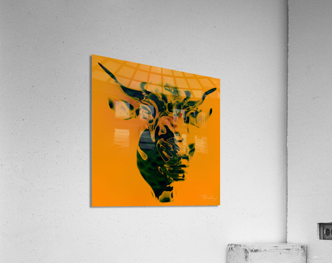 Acrylic Print