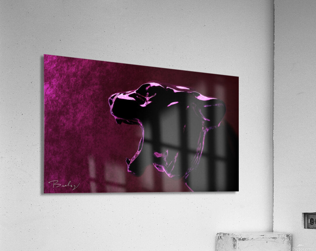 Acrylic Print