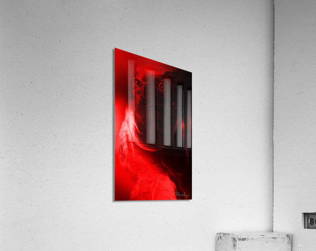 Acrylic Print