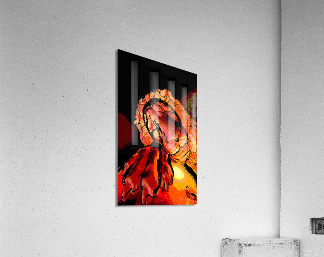 Acrylic Print