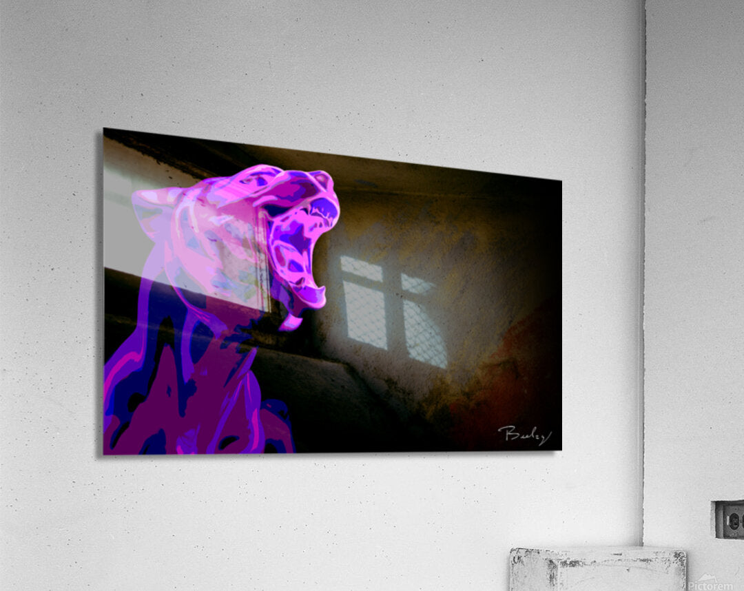 Acrylic Print