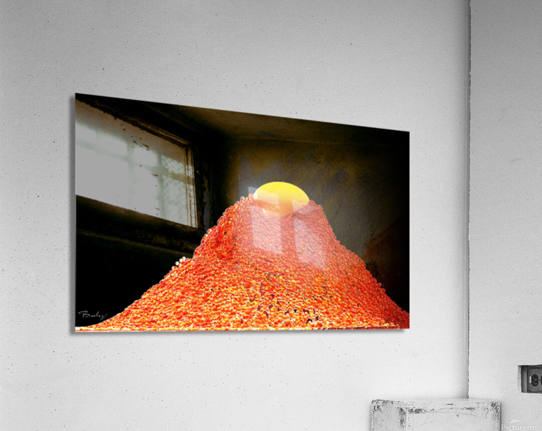 Acrylic Print
