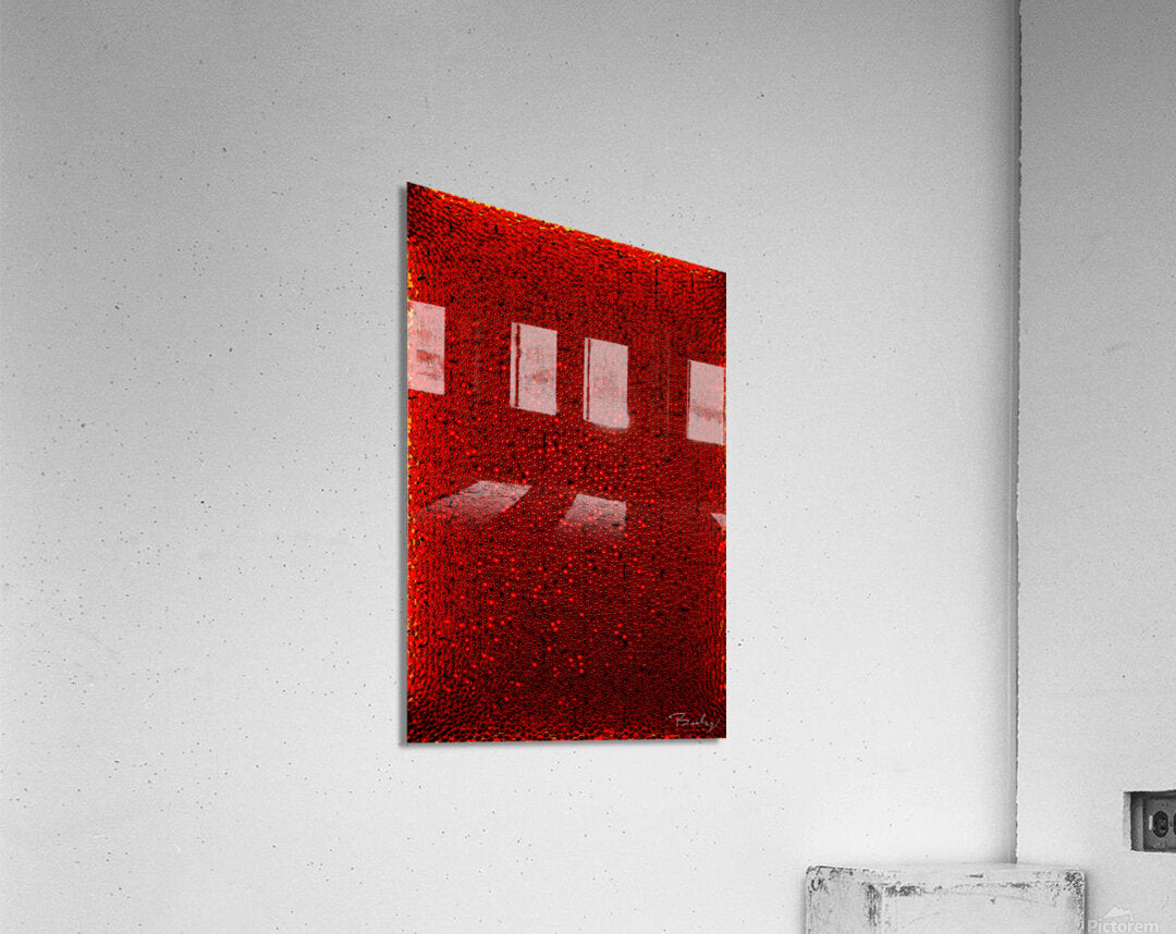 Acrylic Print