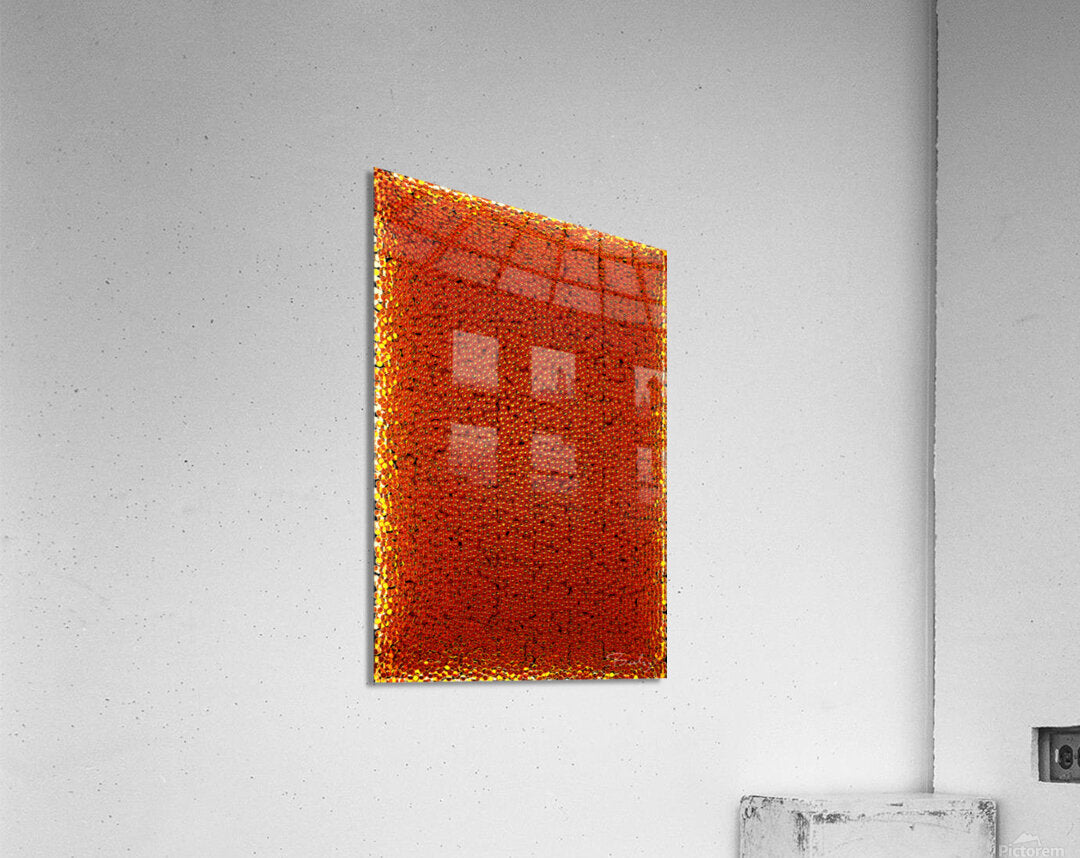 Acrylic Print