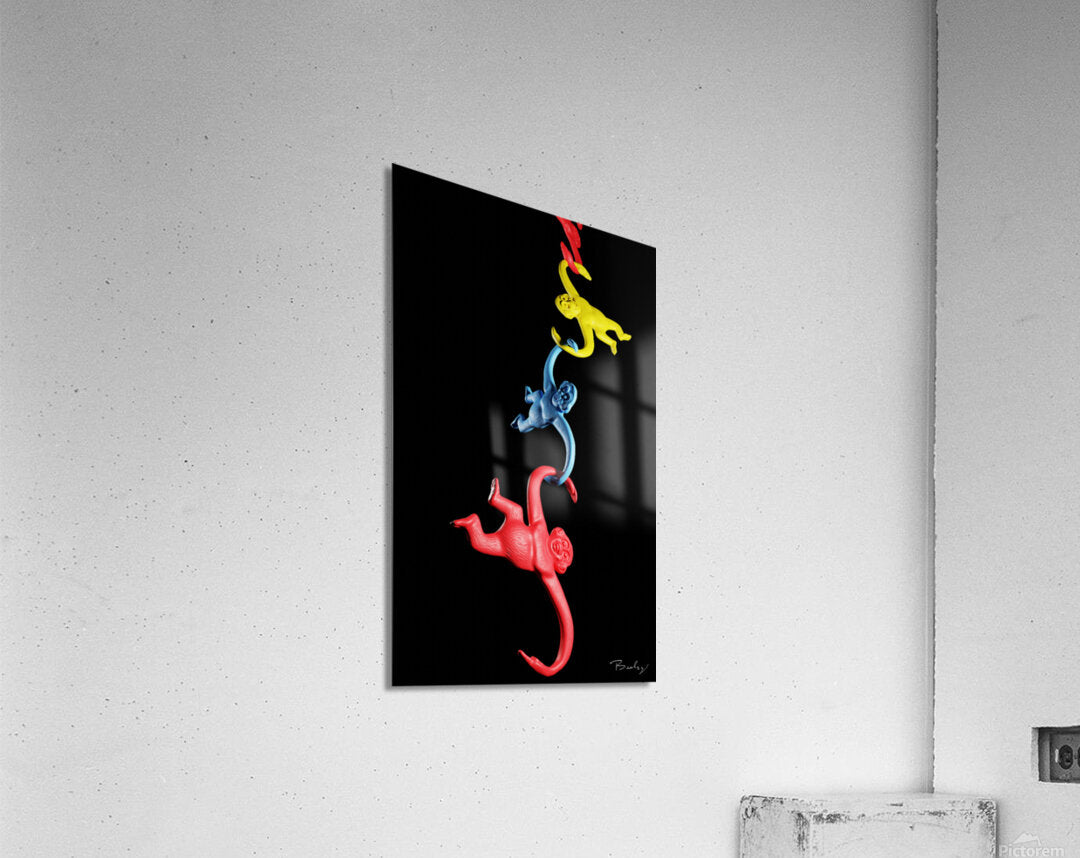 Acrylic Print