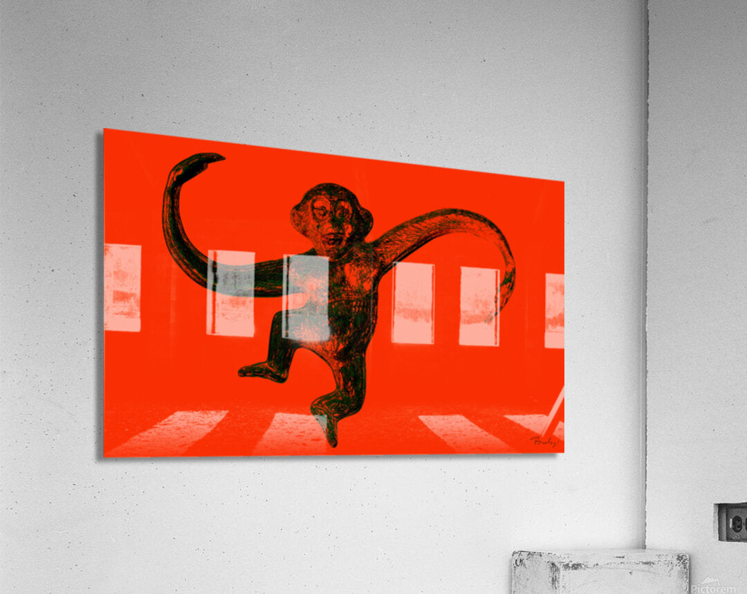Acrylic Print