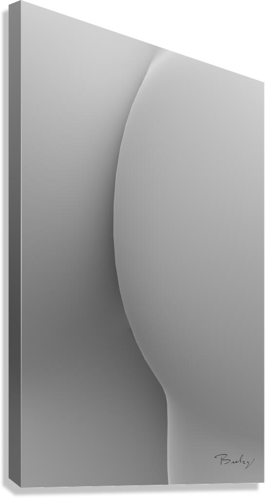 Giclée Stretched Canvas Print