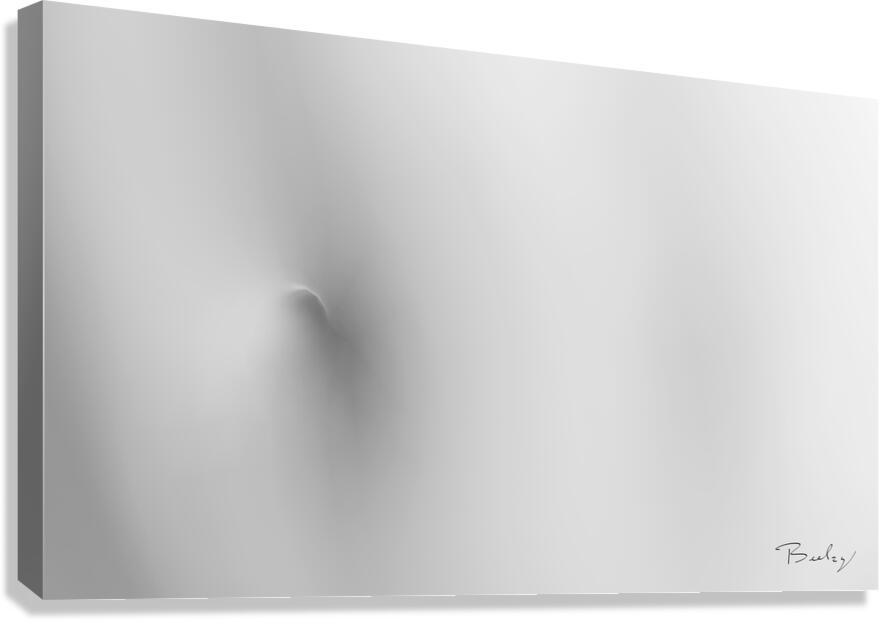 Giclée Stretched Canvas Print