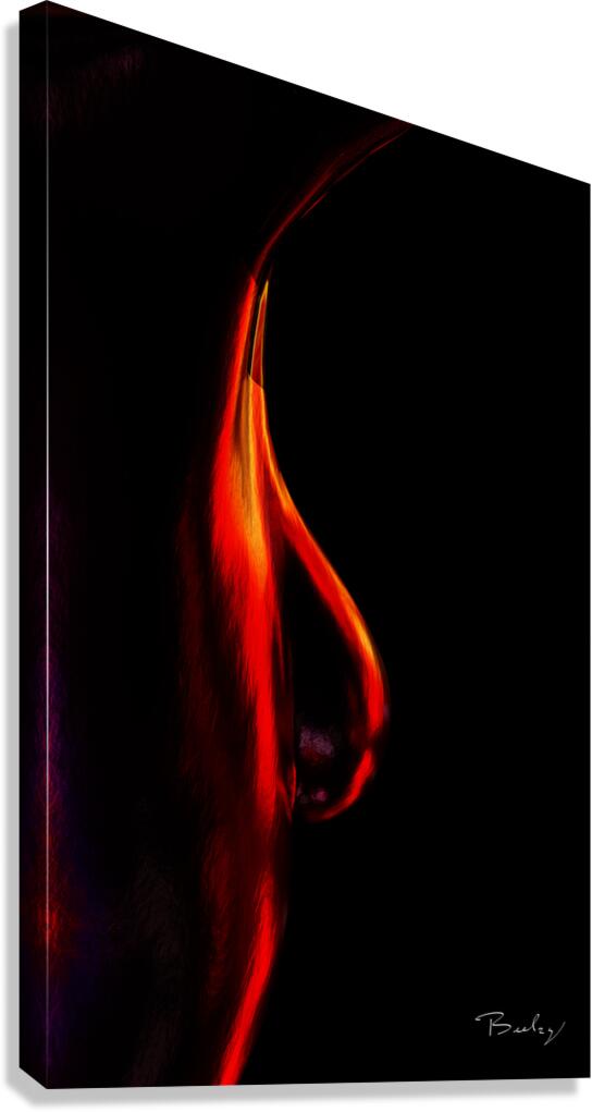 Giclée Stretched Canvas Print