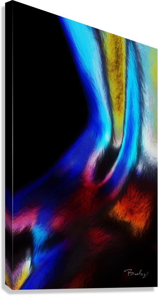 Giclée Stretched Canvas Print