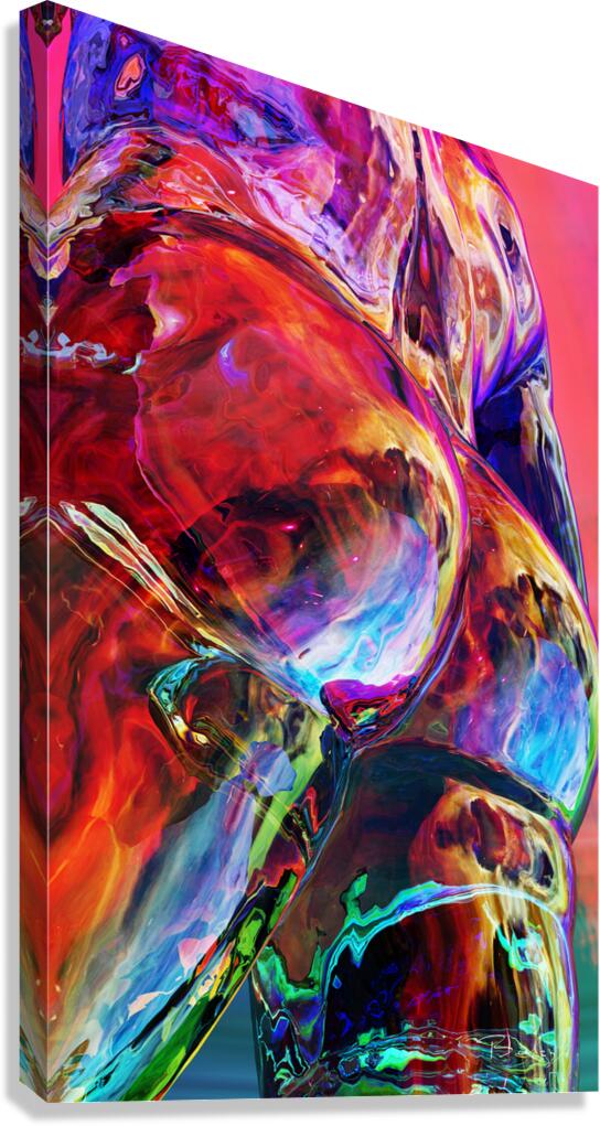 Giclée Stretched Canvas Print
