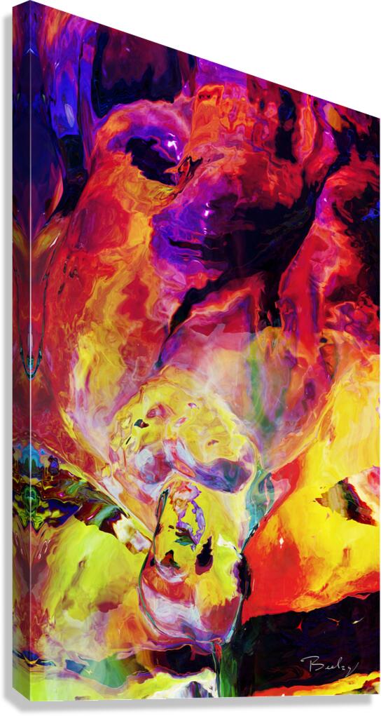 Giclée Stretched Canvas Print
