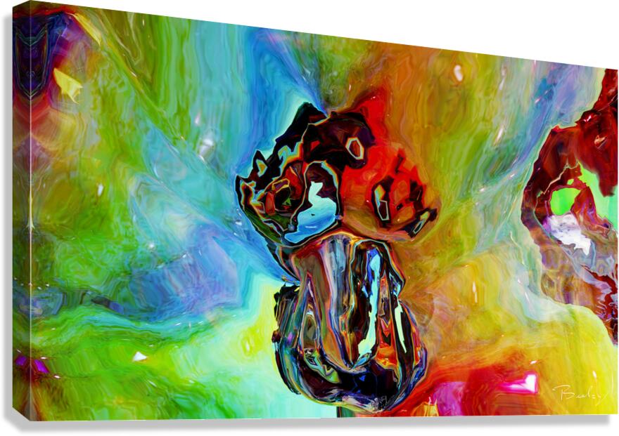 Giclée Stretched Canvas Print